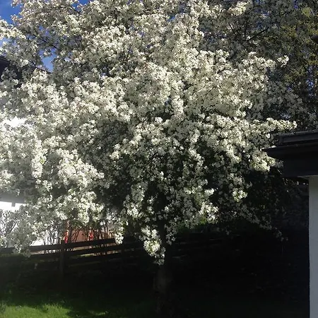 Lebenberg Kitzbuhel