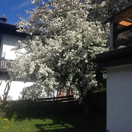 Lebenberg Apartment